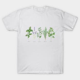 Culinary herbs painting T-Shirt